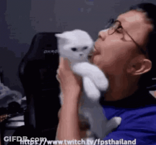 Cat Lover Licking Cat GIF
