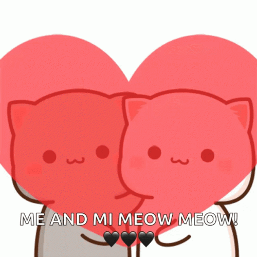 Cat Lover Me And Meow Meow GIF