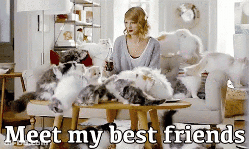 Cat Lover Meet My Bestfriends GIF