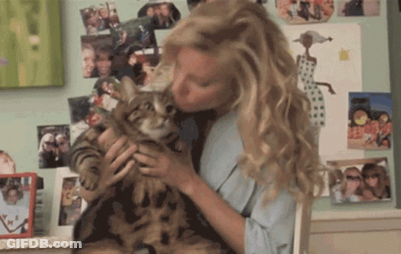 Cat Lover Snuggle GIF