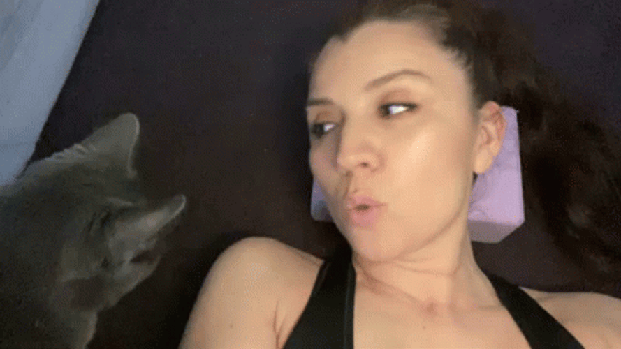Cat Lover Want To Kiss Gray Cat GIF