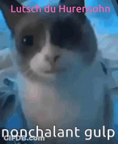 Cat Lutsch Du Hurensonn Nonchalant Gulp GIF
