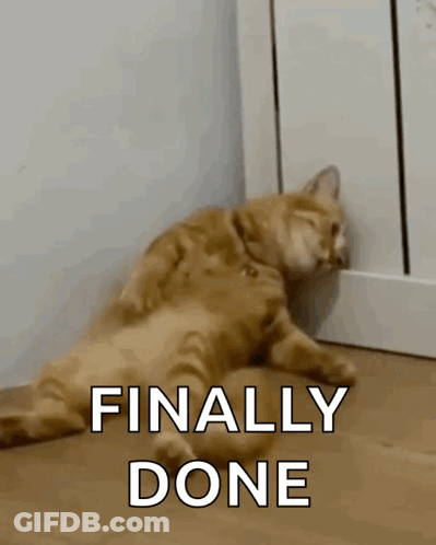 Cat Lying Down With Finally Done GIF