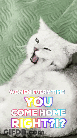 Cat Lying Down With Words Women Every Time You Come Home Right GIF
