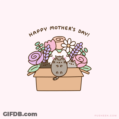 Cat Lying In Box With Flowers Happy Mothers Day GIF