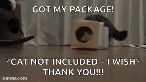 Cat Lying In Cardboard Box GIF