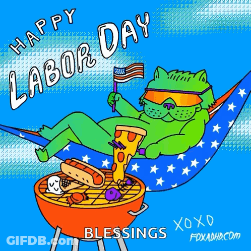 Cat Lying In Hammock Holding American Flag And Pizza GIF
