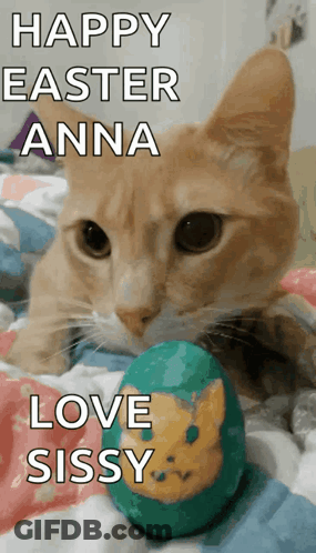 Cat Lying Next To Easter Egg Happy Easter GIF