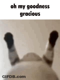 Cat Lying On Back Legs Up Saying Oh My Goodness Gracious GIF
