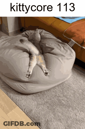 Cat Lying On Bean Bag With 113 GIF