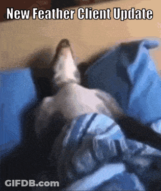 Cat Lying On Bed GIF