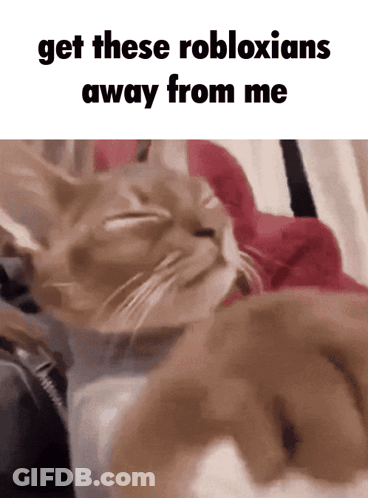 Cat Lying On Bed Saying Get Robloxians Away GIF