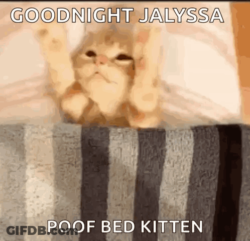 Cat Lying On Bed Saying Goodnight GIF