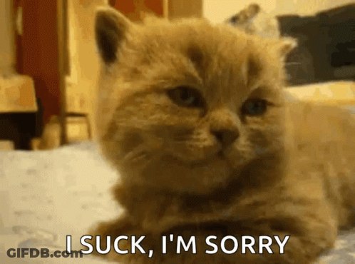 Cat Lying On Bed Saying I Suck Sorry GIF