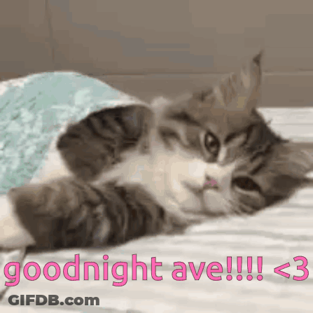 Cat Lying On Bed Under Blanket Goodnight Ave GIF