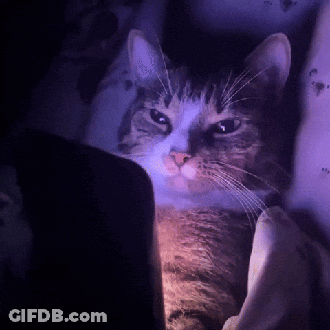 Cat Lying On Bed With Purple Light GIF