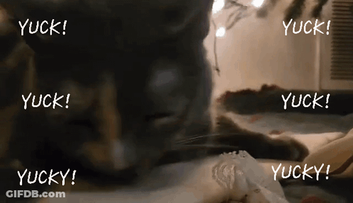 Cat Lying On Bed With Yuck Words GIF