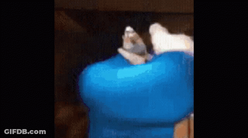 Cat Lying On Blue Blanket GIF