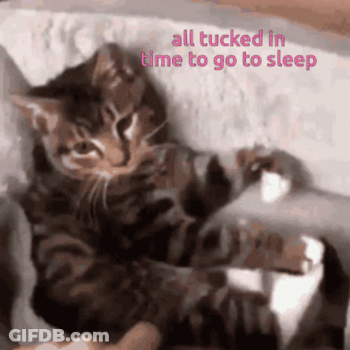 Cat Lying On Couch All Tucked In GIF