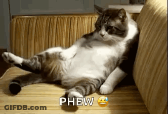 Cat Lying On Couch Phew GIF