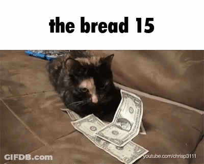Cat Lying On Couch With Money The Bread 15 GIF