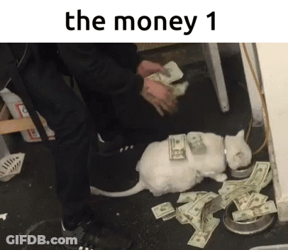 Cat Lying On Floor With Money GIF