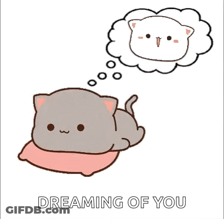 Cat Lying On Pillow Dreaming Of White Cat GIF
