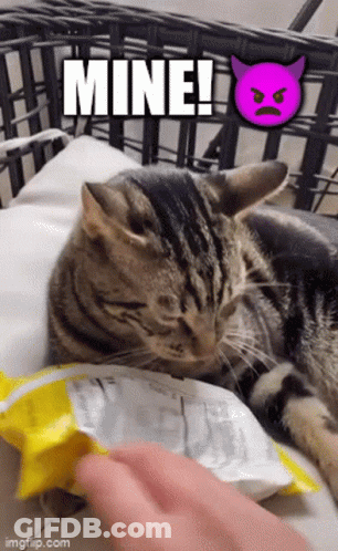 Cat Lying On Pillow Next To Chips And Purple Devil GIF