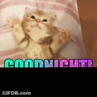 Cat Lying On Pillow Saying Goodnight GIF