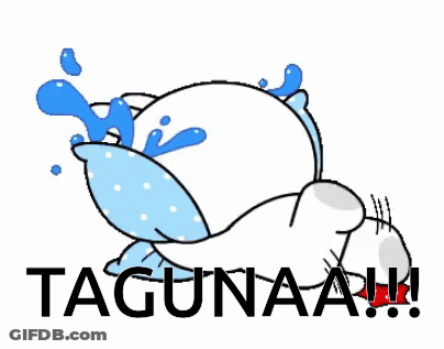 Cat Lying On Pillow With Water GIF