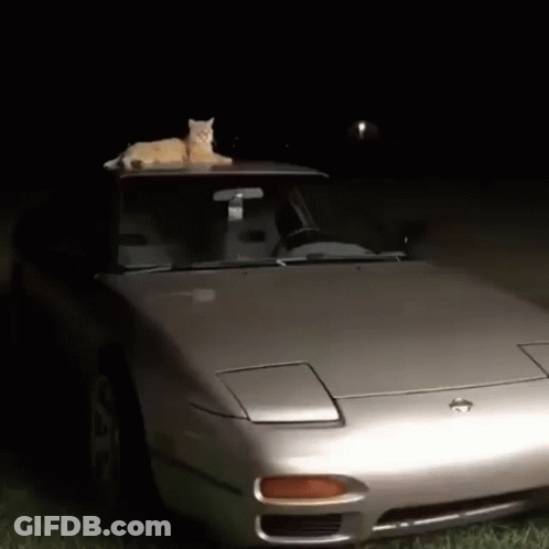 Cat Lying On Silver Car GIF