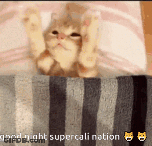 Cat Lying On Striped Blanket Good Night GIF