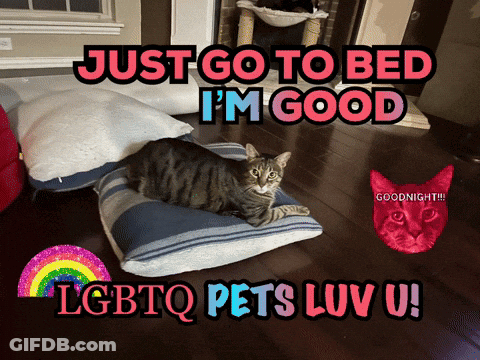 Cat Lying On Striped Pillow Saying Just Go To Bed GIF