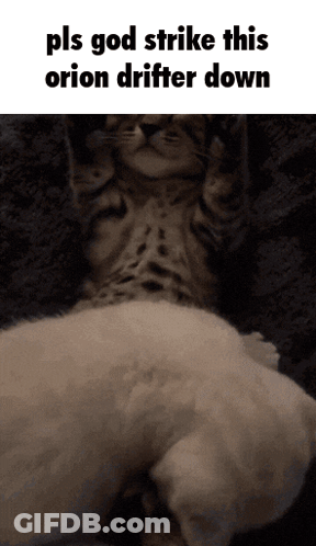 Cat Lying On White Dog GIF