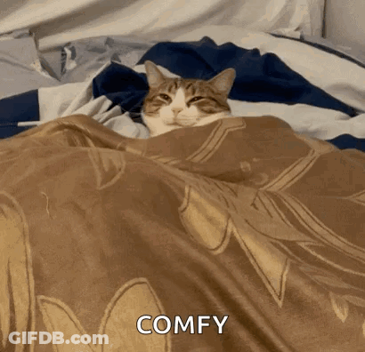 Cat Lying Under Blanket Says Comfy GIF