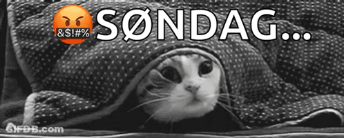Cat Lying Under Blanket With Sondag GIF