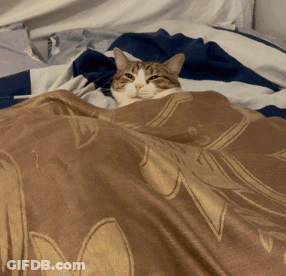 Cat Lying Under Floral Blanket GIF