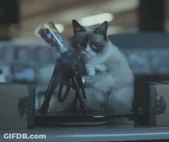 Cat Machine Gun Bad Aim GIF