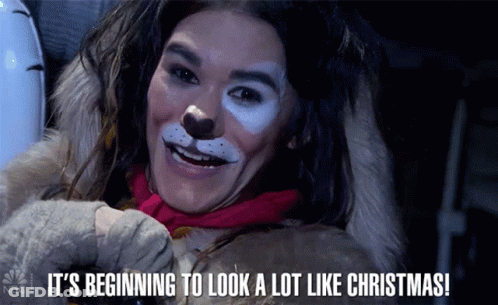 Cat Makeup It's Beginning To Look Like Christmas GIF