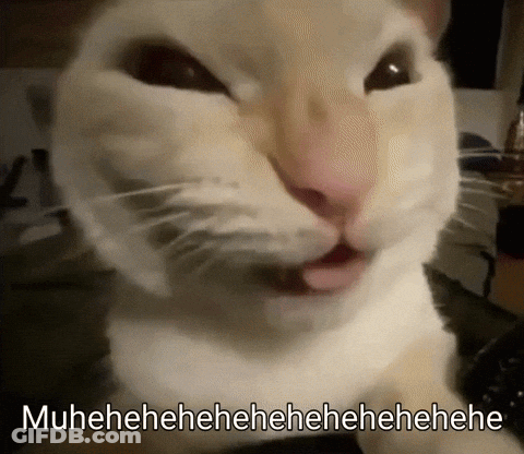 Cat Making Funny Face Muuhhhee GIF
