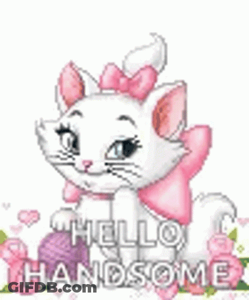 Cat Marie Hey Hello Handsome GIF