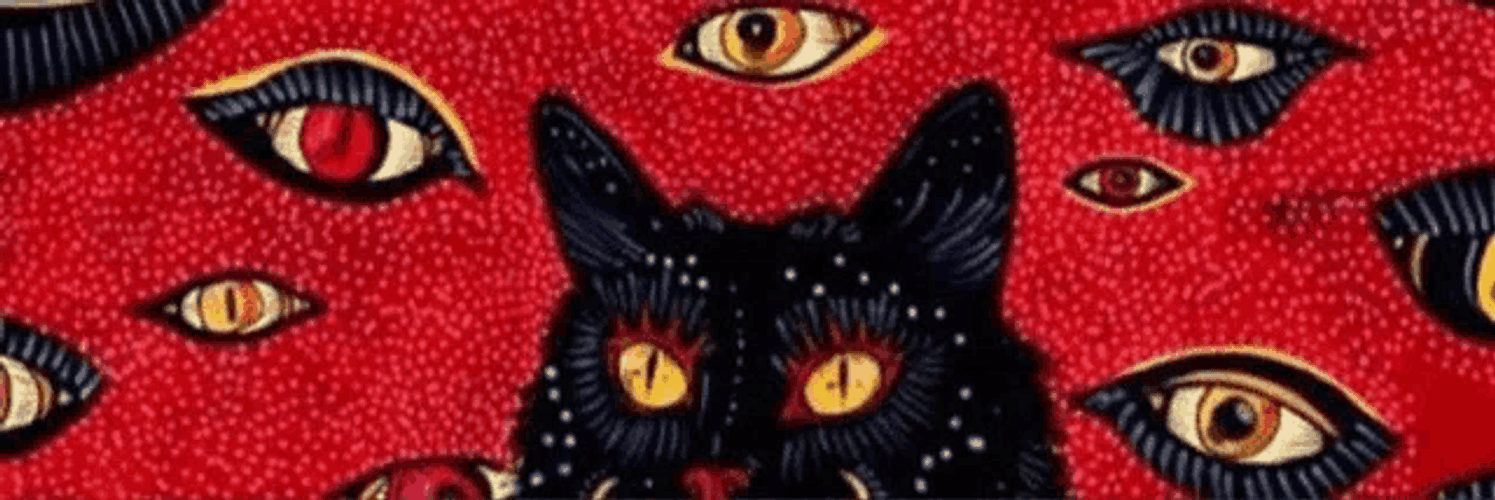 Cat Meme GIF