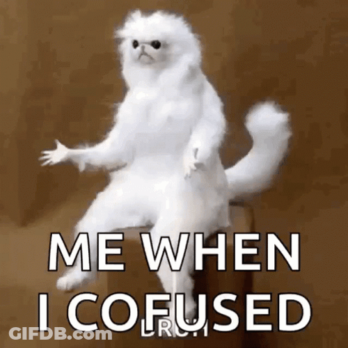 Cat Meme Im Confused GIF