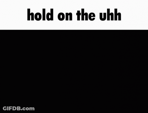 Cat Meme Saying Hold On The Uhh GIF