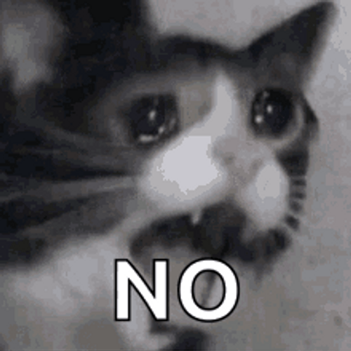 Cat Memes Scream Cry Tears No GIF