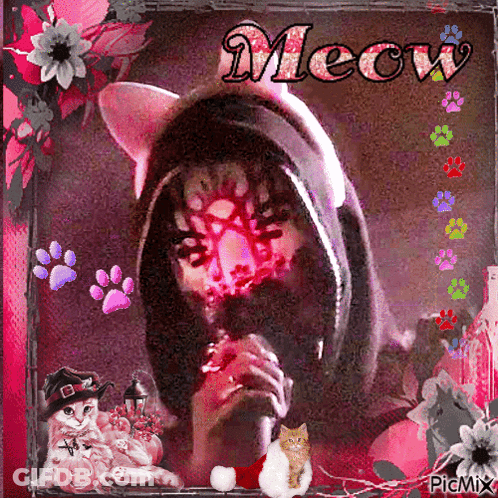Cat Meow GIF