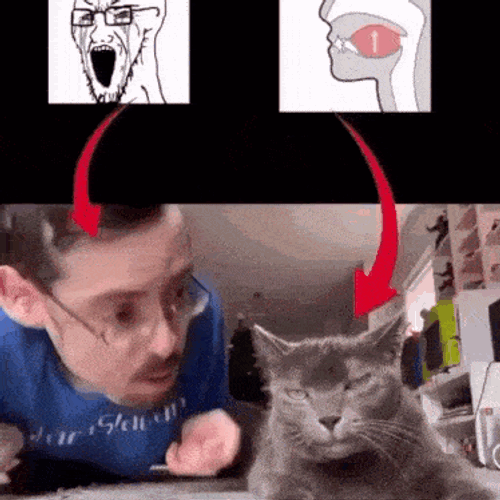 Cat Mewing GIF
