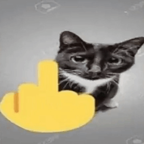 Cat Middle Finger Meme GIF