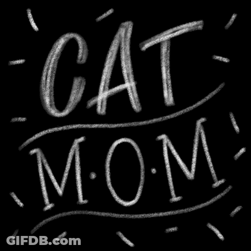 Cat Mom Chalk Drawing GIF