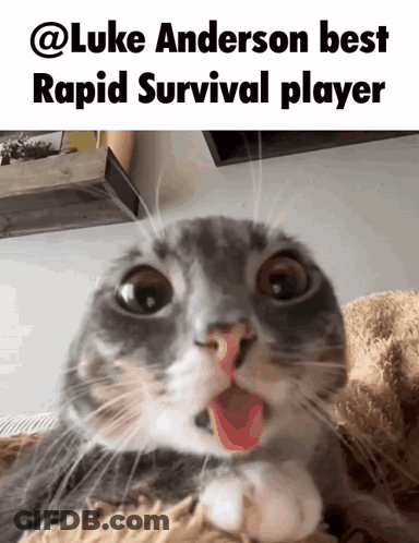 Cat Mouth Open Luke Anderson Best Rapid Survival GIF